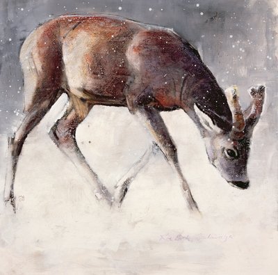 Chevreuil, Hiver, 2000 - Mark Adlington