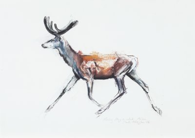 Cerf courant en velours, Polsen, 2006 - Mark Adlington