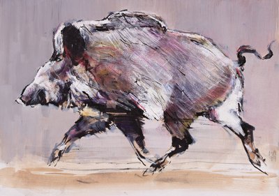 Sanglier courant, 1999 - Mark Adlington