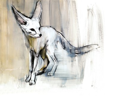Renard des sables, 2009 - Mark Adlington