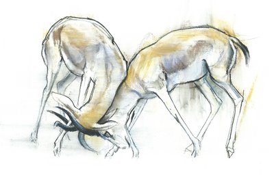 Gazelles des sables, 2009 - Mark Adlington