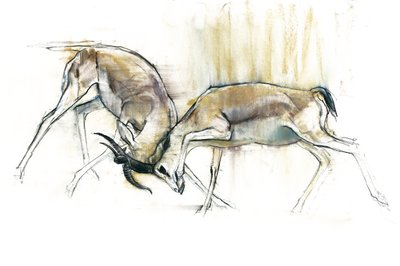Gazelles des sables, 2009 - Mark Adlington