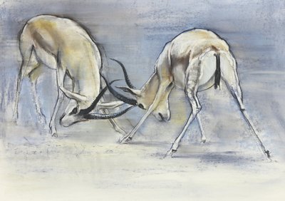 Gazelles des sables, 2009 - Mark Adlington