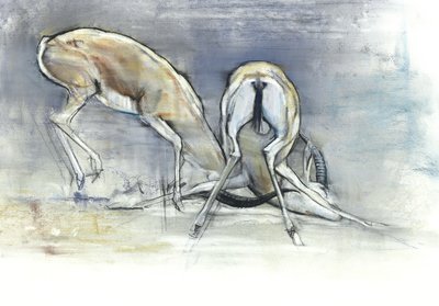 Gazelles des sables, 2009 - Mark Adlington