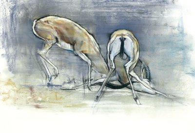 Gazelles des sables, 2009 - Mark Adlington