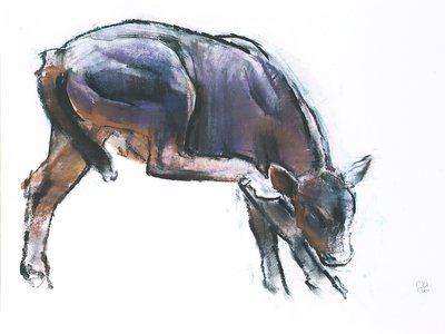 Veau se grattant, 2006 - Mark Adlington