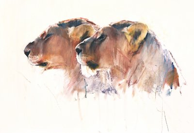 Sœurs, Etosha, 2017 - Mark Adlington