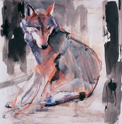 Loup assis - Mark Adlington