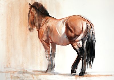 Stand (Przewalski), 2013 - Mark Adlington