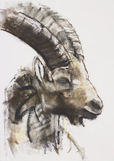 Testa, 2005 - Mark Adlington