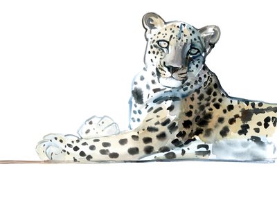 Tilt (Léopard arabe) - Mark Adlington