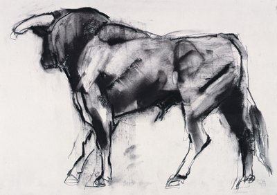 Toro Azul, étude - Mark Adlington