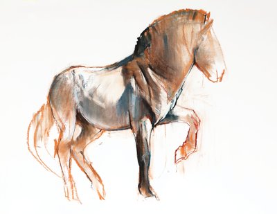 Tournant (Przewalski), 2013 - Mark Adlington