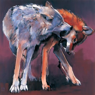 Deux loups - Mark Adlington