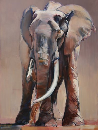Vénérable vieille matriarche - Mark Adlington