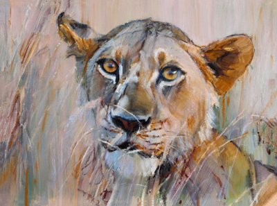 Jeune lion dans l