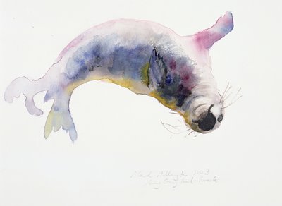 Jeune phoque gris, Gweek, 2003 - Mark Adlington