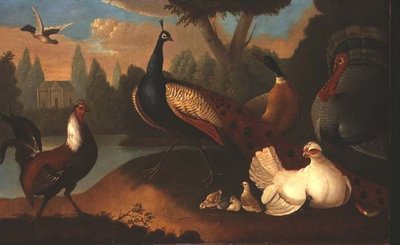 Paysage avec divers oiseaux - Marmaduke Craddock