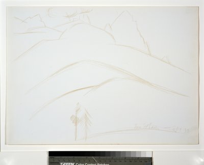 Paysage de montagne avec deux pins - Marsden Hartley