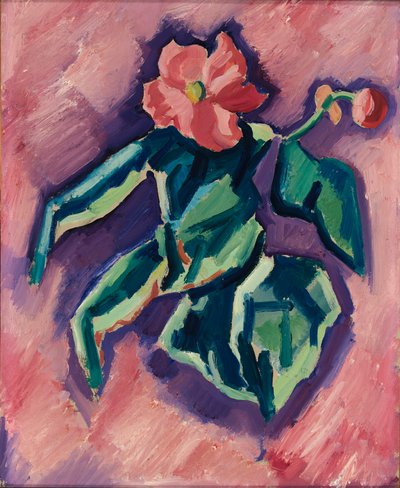 Bégonias Roses - Marsden Hartley