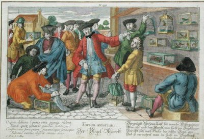 Marché aux oiseaux - Martin Engelbrecht