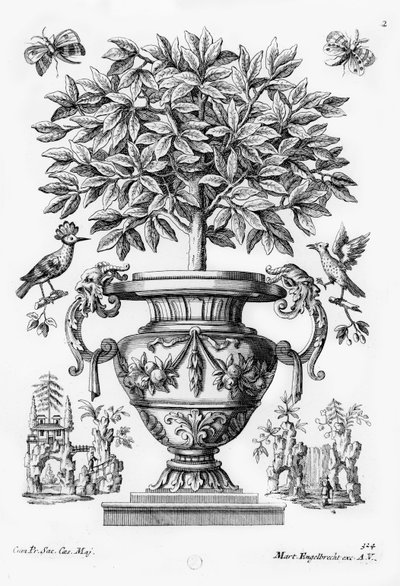 Orangers, vers 1735 - Martin Engelbrecht