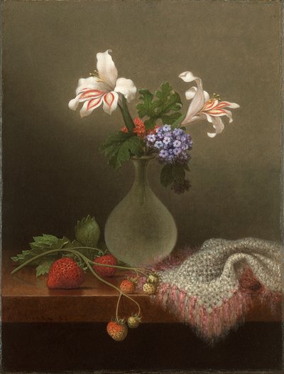 Vase de lys des champs et héliotrope - Martin Johnson Heade