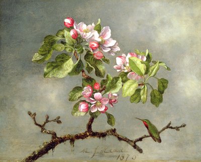 Fleurs de pommier et un colibri, 1875 - Martin Johnson Heade