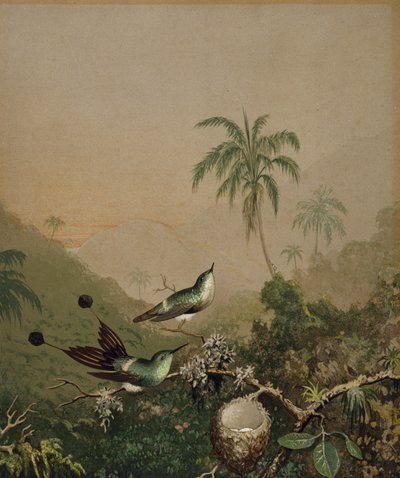Colibris brésiliens II, c. 1864-1865 - Martin Johnson Heade