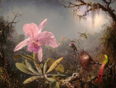 Orchidée Cattleya et trois colibris. 1871 - Martin Johnson Heade