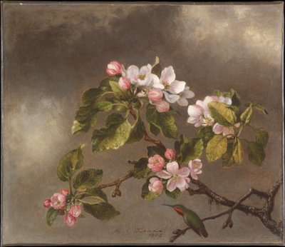  - Martin Johnson Heade