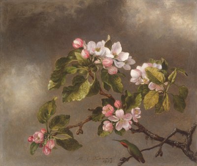 Colibri et Fleurs de Pommier - Martin Johnson Heade