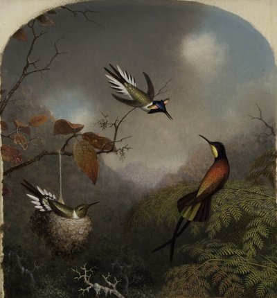 Colibris : Deux gemmes et un topaze cramoisi, 1866 - Martin Johnson Heade