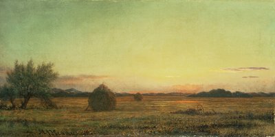 Prairies de Jersey - Martin Johnson Heade