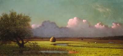Lumière du soleil et ombre : Les marais de Newbury, c. 1871-1875 - Martin Johnson Heade