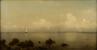 Île Thimble, CT, 1875-1876 - Martin Johnson Heade