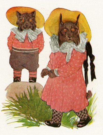 Lynx roux et lynx du Canada - Martin Ross