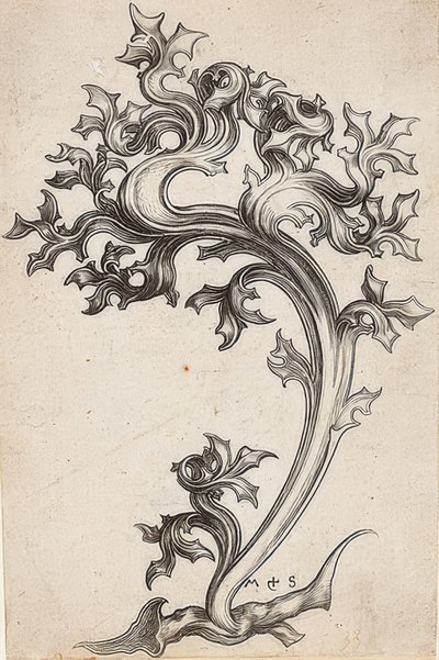 Ornement de feuille de chardon - Martin Schongauer