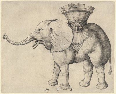 Éléphant - Martin Schongauer