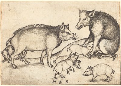 Famille de cochons - Martin Schongauer