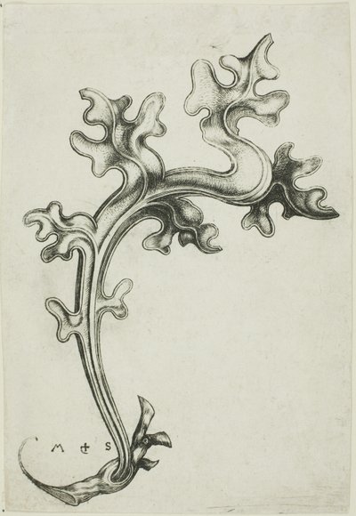 Ornement en forme de feuille - Martin Schongauer