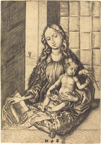 Madone avec un Perroquet - Martin Schongauer