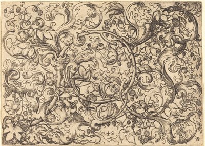 Ornement avec vigne de houblon - Martin Schongauer