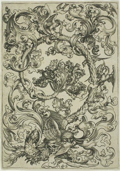 Ornement avec chouette moquée par les oiseaux de jour - Martin Schongauer