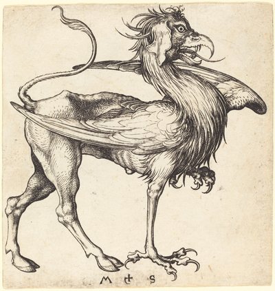 Le Griffon - Martin Schongauer