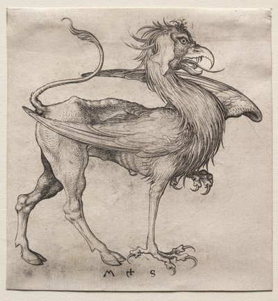 Le griffon - Martin Schongauer