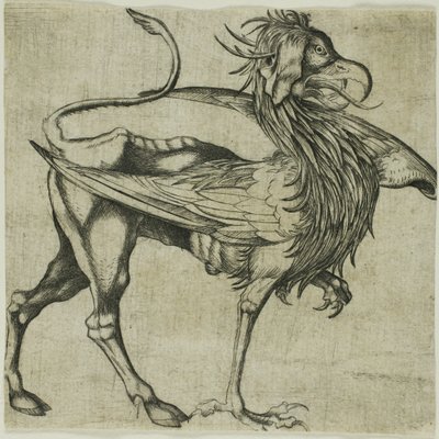 Le Griffon - Martin Schongauer