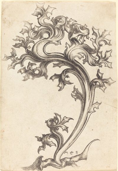 Ornement de Chardon - Martin Schongauer