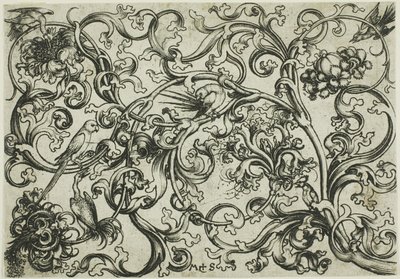 Ornement de vigne avec perroquets et oiseaux - Martin Schongauer
