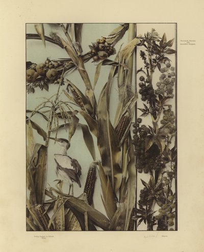 Un des Festons und Decorative Gruppen de Martin Gerlach - Martin senior Gerlach